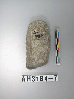 藏品(石錛)的圖片